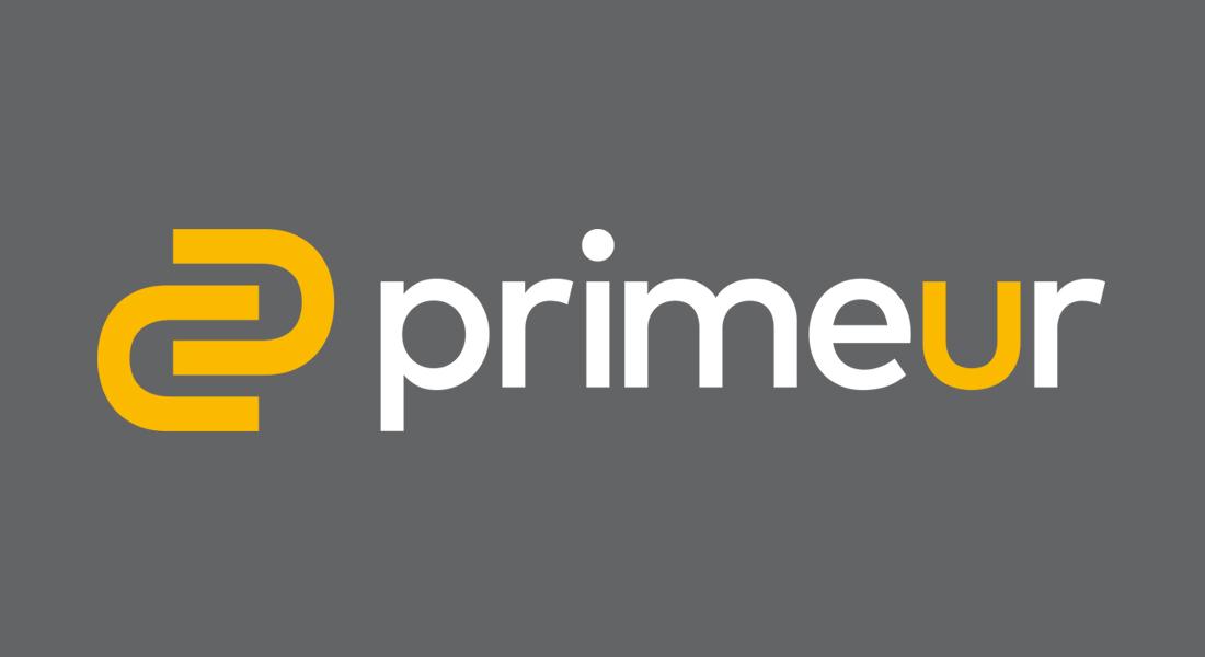 Gray and Yellow Logo - Primeur Brand Manual