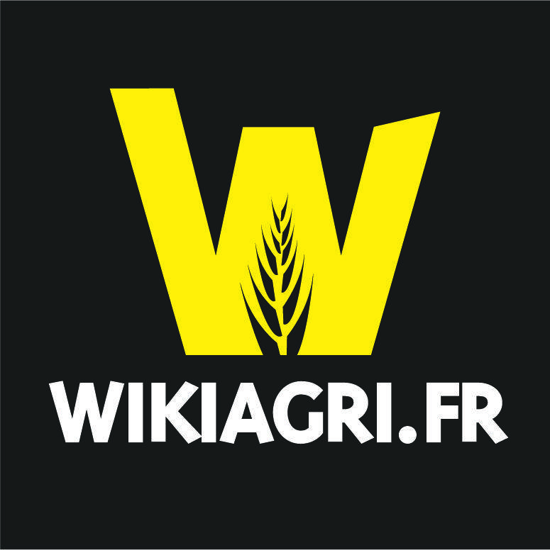 Gray and Yellow Logo - Logo WAïo Technologies