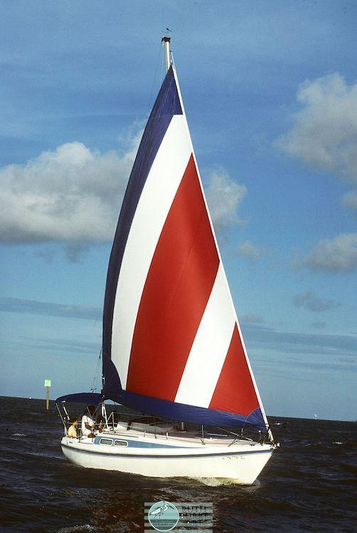Red White Blue Sail Logo - close up of red white and blue sail boat.jpg | Ruth Burke Art