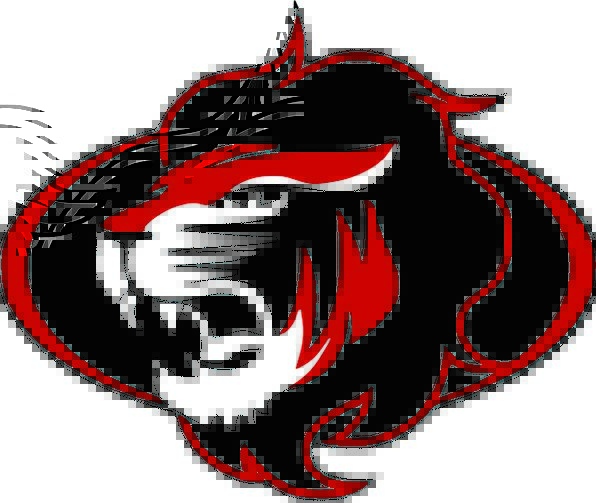 High School Lion Mascot Logo - Lion, Skull, Isolated, Remote, Head, Design, Art, Painting, High ...
