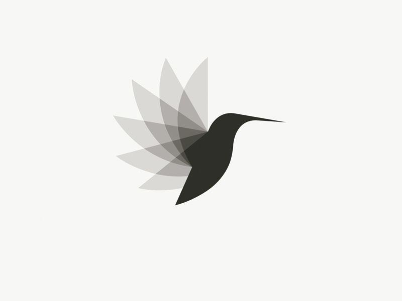 Hummingbird Logo - Logo Inspiration | Design | Logo design, Logos, Logo inspiration