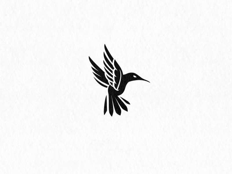 Hummingbird Logo - Hummingbird Logo by Nelson Nokela | Dribbble | Dribbble