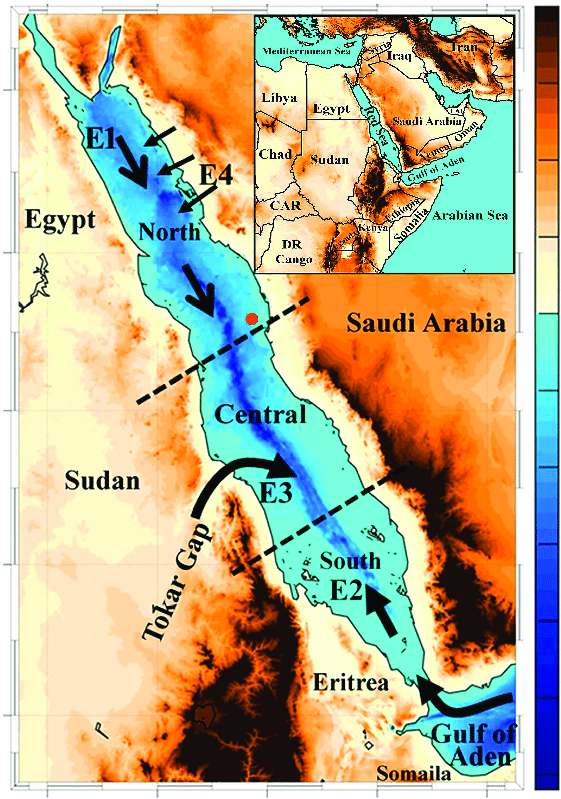 Three Red Waves Logo - The Red Sea. The two dash lines divide the basin in three logical ...