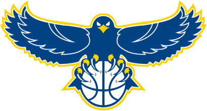 Hawks Basketball Logo - Riverside Hawks Youth Basketball NYC