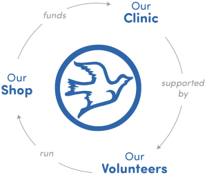 Blue Birds in a Circle Logo - Blue Bird Circle – Supporting Children with Neurological Disorders