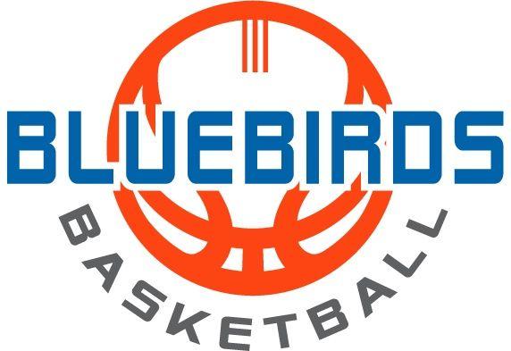 Blue Birds in a Circle Logo - Welcome