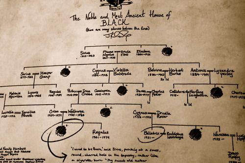 Black Family Tree Logo - jk rowling - Are Harry Potter and Ginny Weasley Distant Relatives ...