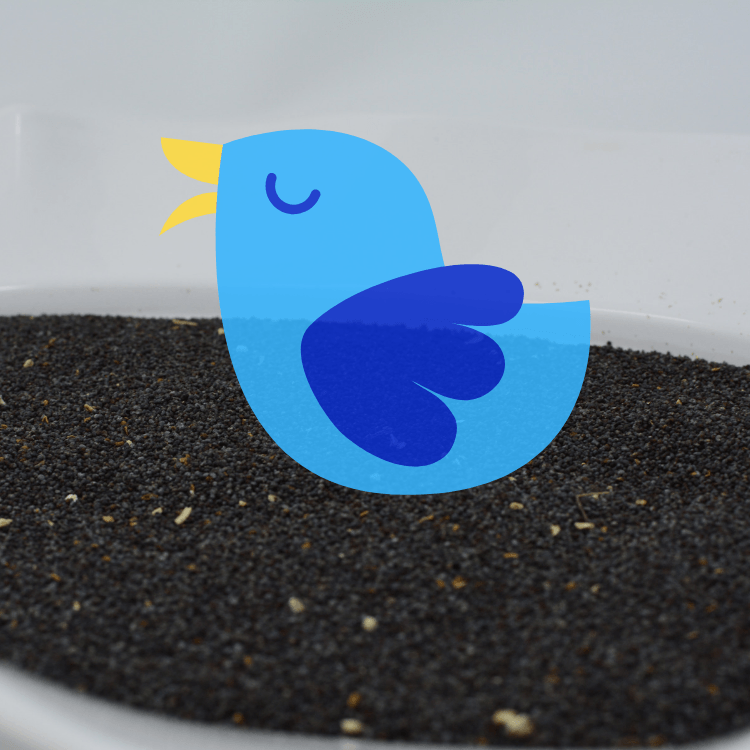 Blue Birds in a Circle Logo - Blue Bird Poppy Seeds 1 Pound English Poppy Seeds