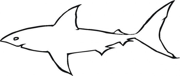 Shark Outline Logo - Printable Shark Outline | Great White Shark Outline coloring page ...