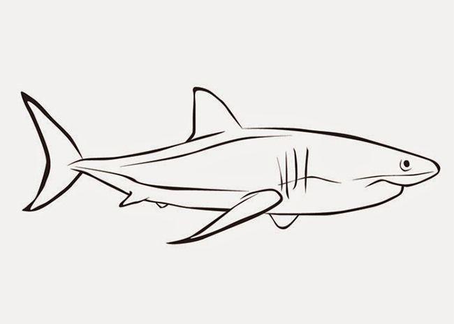 Shark Outline Logo - 55+ Shark Shape Templates, Crafts & Colouring Pages | Free & Premium ...