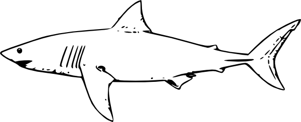 Shark Outline Logo - Image detail for -White Shark Outline clip art - vector clip art ...