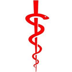 Cross with Red and Green Snake Logo - Health and Medical Symbols - Health and Fitness History