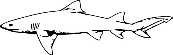 Shark Outline Logo - Shark outline result: 40 clipart for Shark outline