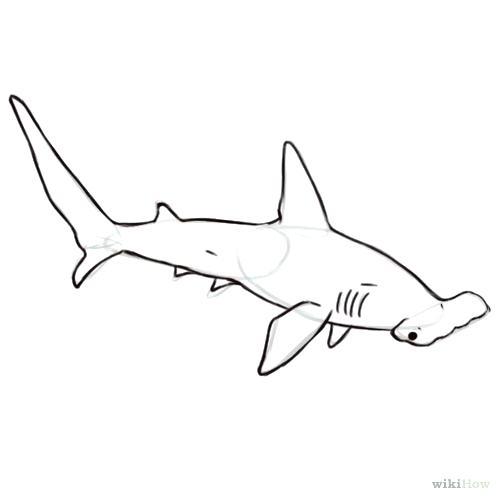 Shark Outline Logo - Shark Outline By Shark T Shirts Shark Outline T Shirt White Shark