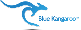 Companies with Blue Kangaroo Logo - Third-Party Data Marketplace – Salesforce DMP Resources