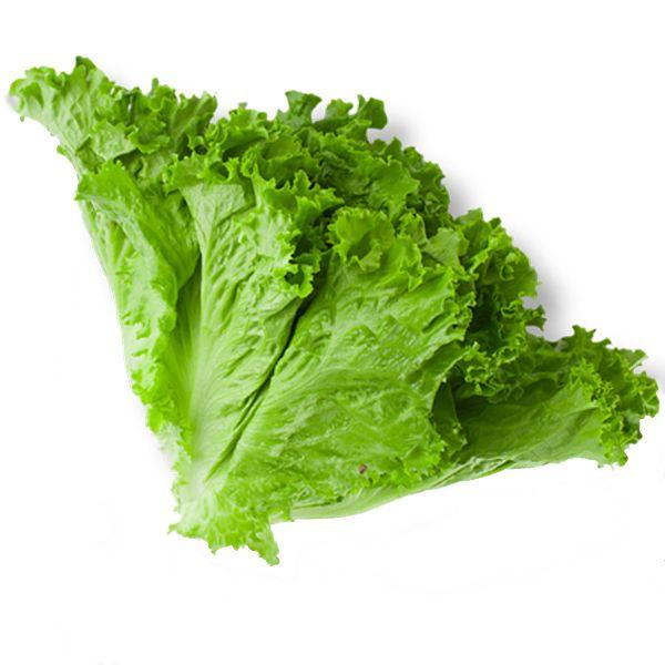 Lettuce Leaf Logo - Crunchy, Crisp, Spicy And Spiky: Our 9 Go To Salad Greens. Blue
