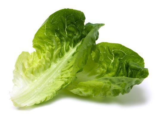 Lettuce Leaf Logo - Romaine lettuce: CDC warns of E. coli outbreak in 11 states