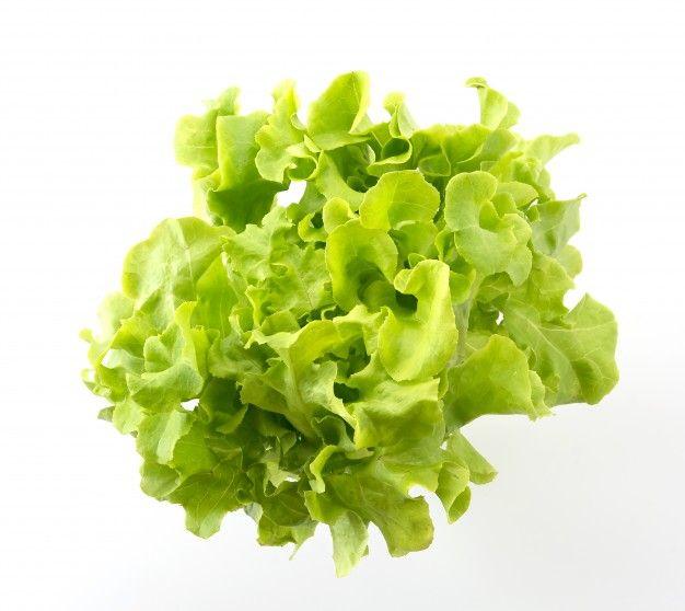 Lettuce Leaf Logo - Lettuce Vectors, Photo and PSD files