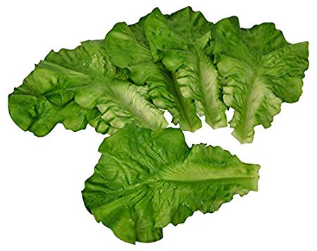 Lettuce Leaf Logo - Props4shows Fake Lettuce Leaves - Pack of 6: Amazon.co.uk: Kitchen ...