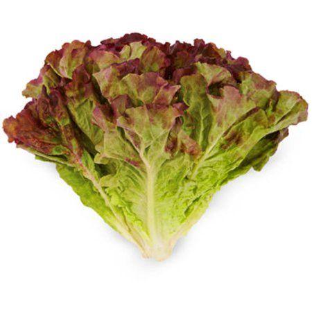 Lettuce Leaf Logo - Red Leaf Lettuce, each - Walmart.com