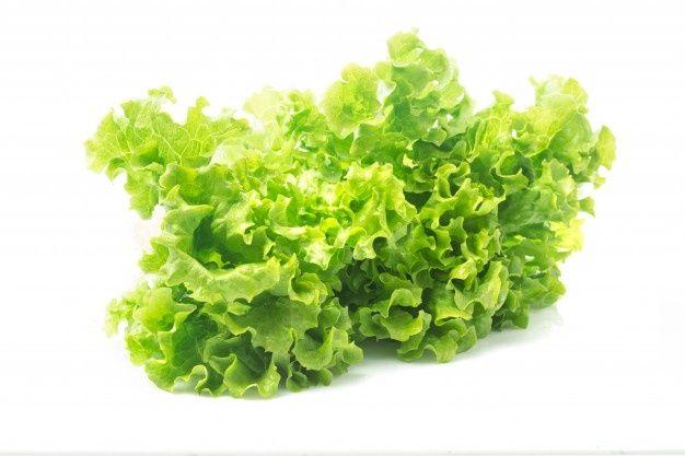Lettuce Leaf Logo - Lettuce Vectors, Photo and PSD files