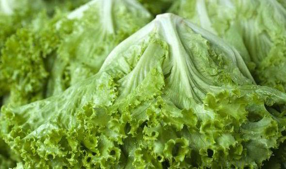 Lettuce Leaf Logo - Scientists discover how to make lettuce leaves stay fresh for longer