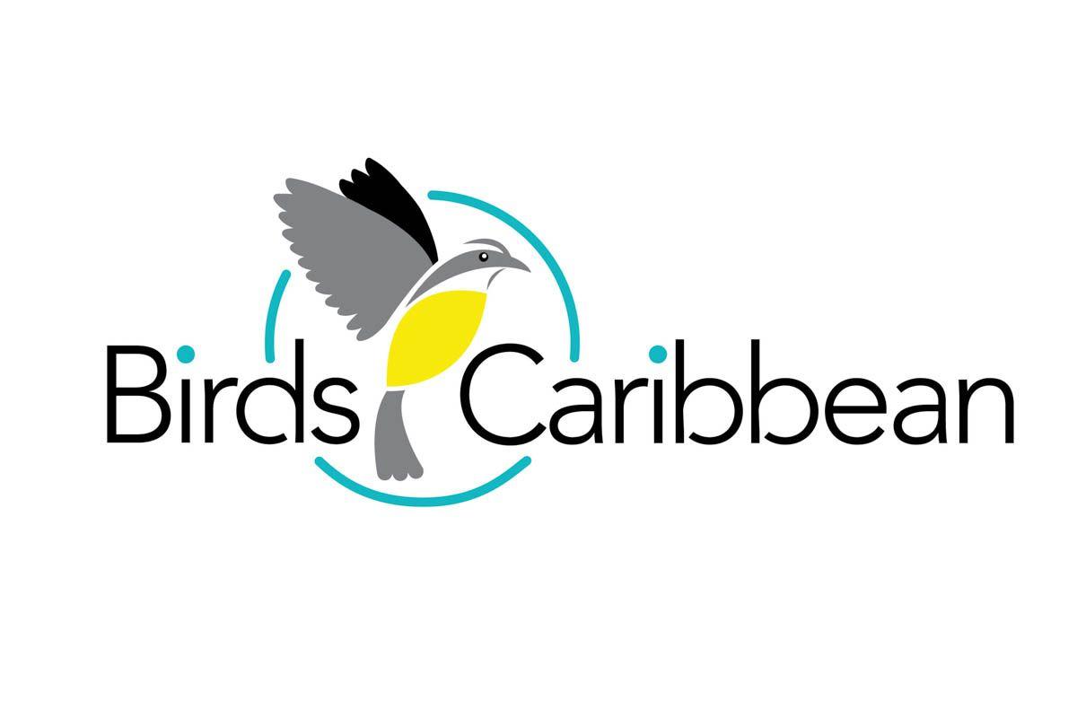 3 Color Logo - BirdsCaribbean-3-Color-Logo-MAIN-2 – BirdsCaribbean