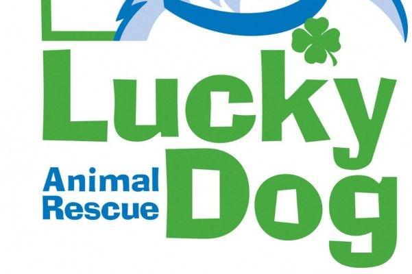 Lucky Dog Logo - Fundraiser by Michiko Gustafson : Lucky Dog Animal Rescue DC