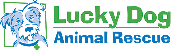 Lucky Dog Logo - Home | Lucky Dog Animal Rescue