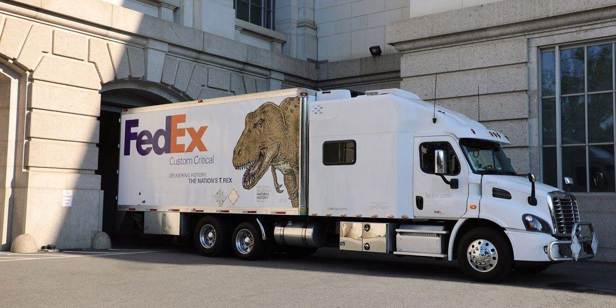 FedEx Custom Critical Logo - FedEx delivers T. rex fossil to Smithsonian