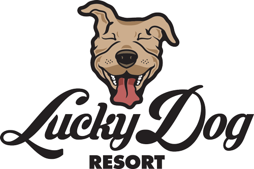 Lucky Dog Logo - LuckyDog-logo - Potter League For Animals - Potter League For Animals