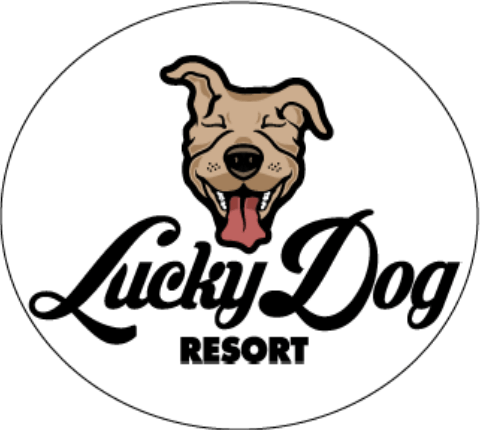 Lucky Dog Logo - Lucky Dog Resort | Overnight Boarding And Doggie Day Care In Rhode ...