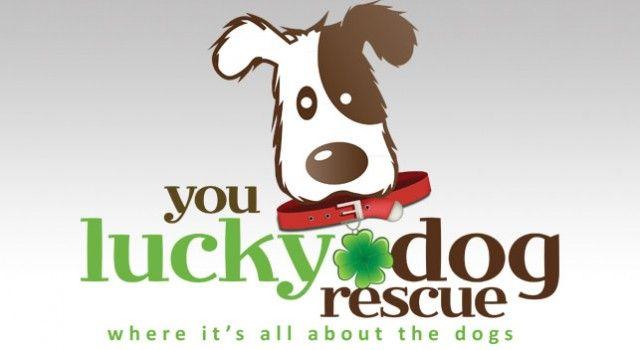 Lucky Dog Logo - You Lucky Dog Rescue logo and web site. Anything Design, LLC