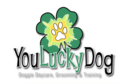 Lucky Dog Logo - Day Care and Boarding. Raleigh, NC. You Lucky Dog