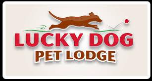 Lucky Dog Logo - Lucky Dog logo Haven of Minnesota