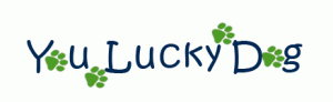Lucky Dog Logo - You Lucky Dog | South Boston, Dog Walker