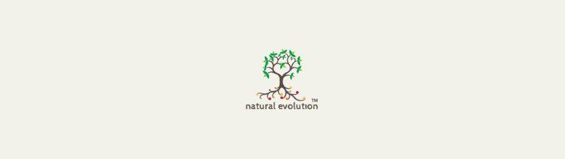 Paradise Natural Logo - Flannery's Paradise Point - Natural Evolution Foods