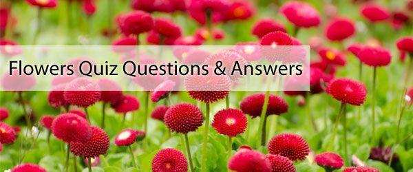 Answer to Green Flower Logo - Flowers Quiz Questions With Answers - Quiz On Flowers