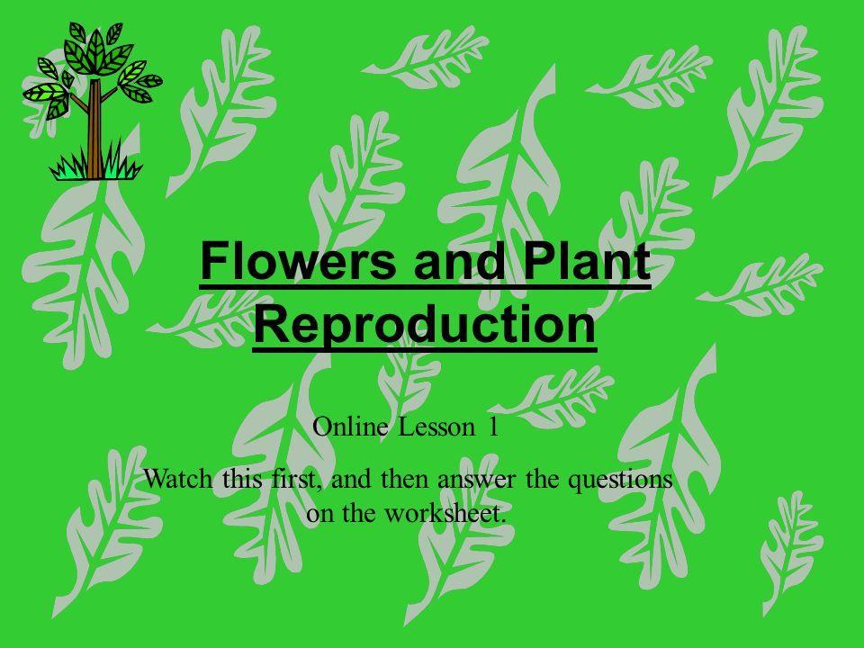 Answer to Green Flower Logo - Flowers and Plant Reproduction Online Lesson 1 Watch this first, and ...