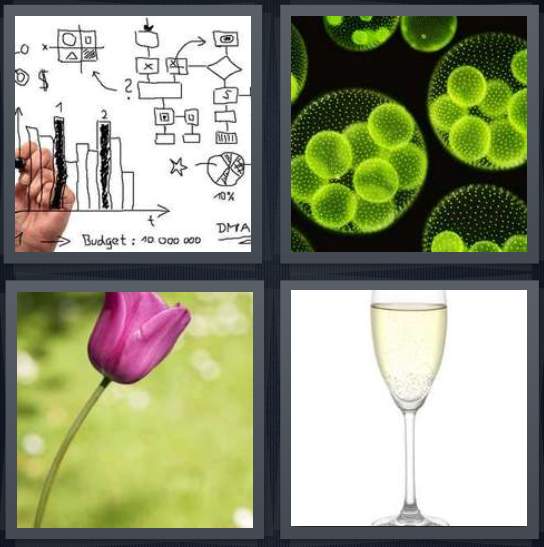 Answer to Green Flower Logo - Pics 1 Word Answer for Graph, Bacteria, Flower, Champagne