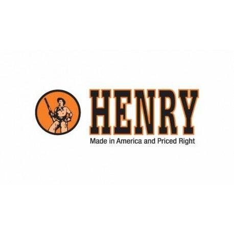 Henry Repeating Arms Logo - HENRY REPEATING ARMS BIG BOY SILVER DLX ENGVD 45LC - Broken Box R LLC