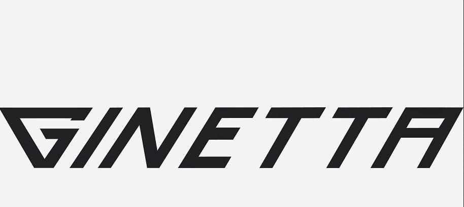 Ginetta Logo - Project Cars Videos: Gumpert / Ginetta