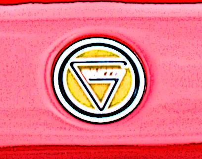Ginetta Logo - Logo ginetta.png