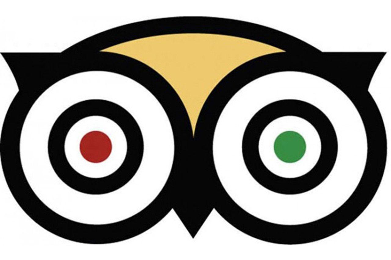 Red and Green Owl Eye Logo - Ollie the Owl says “It's Not Lack of Capacity, It's Inefficiency