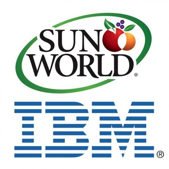 IBM Sun Logo - IBM tools help Sun World plan ahead