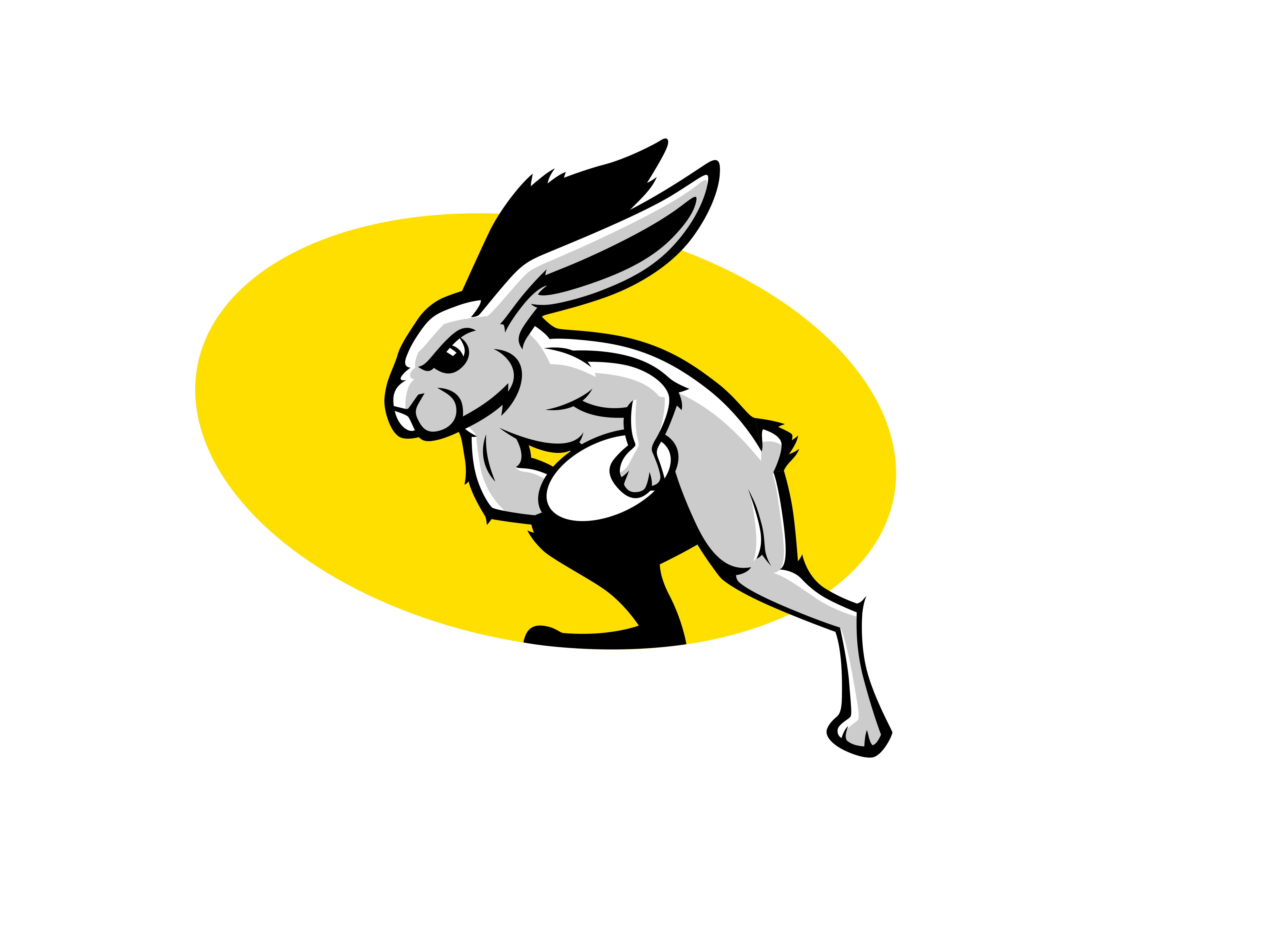 Rabbit Sports Logo - Sports Logo Critique + Font Help - Album on Imgur