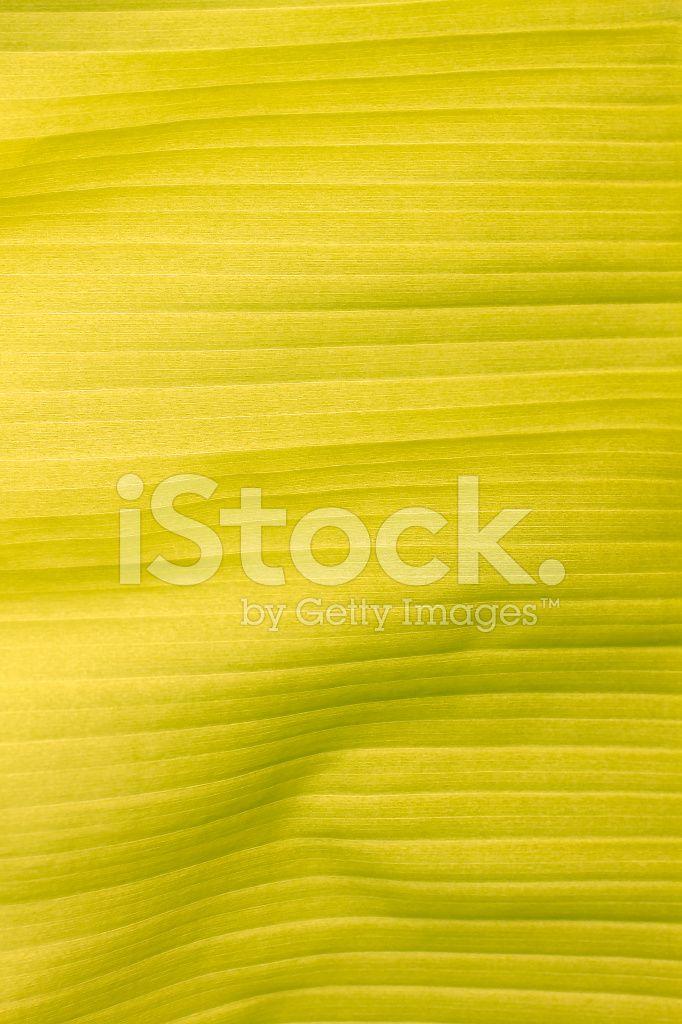 Green Wavy M Logo - Green Wavy Leaf Stock Photos - FreeImages.com
