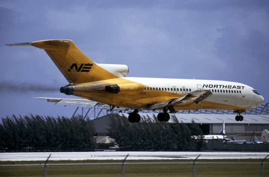 Yellow Bird Airline Logo - Northeast Airlines Yellowbirds - PlaneViz