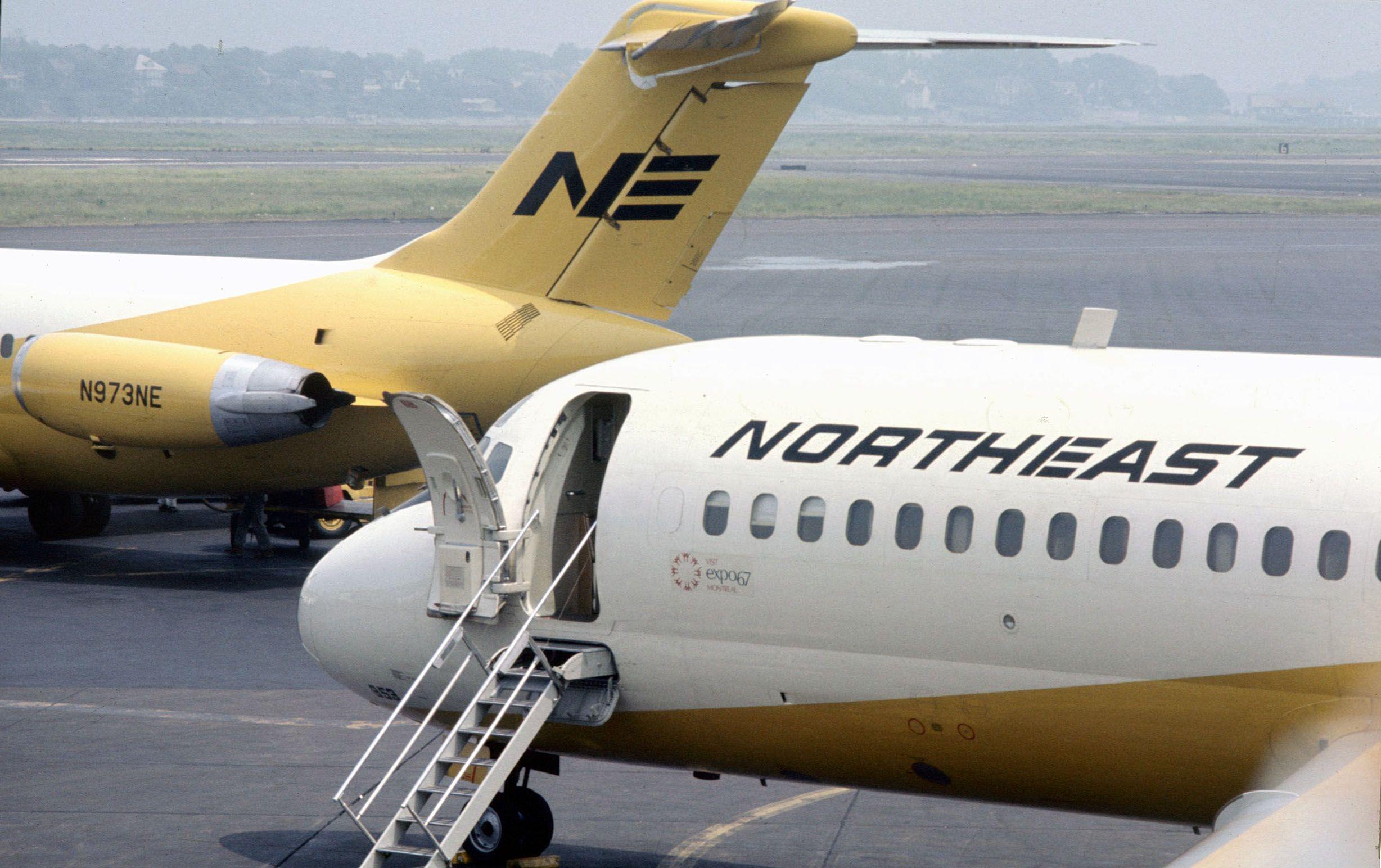 Yellow Bird Airline Logo - Northeast Airlines Yellowbirds - PlaneViz