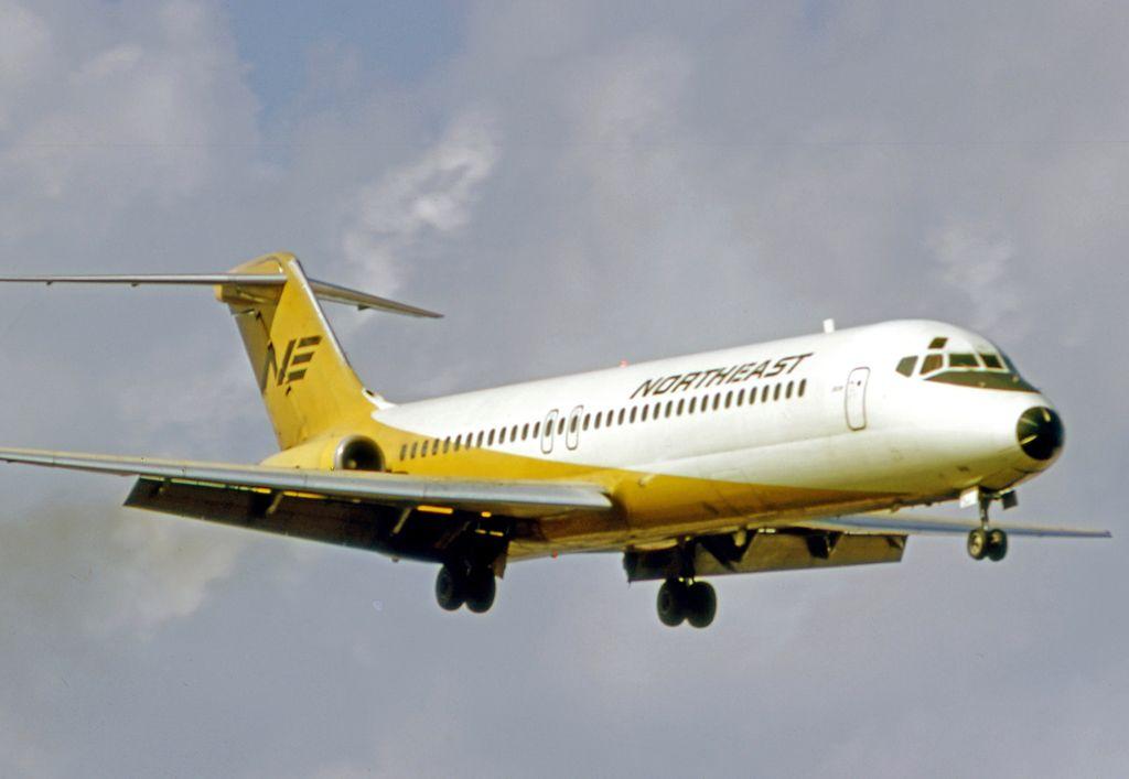 Yellow Bird Airline Logo - Livery Request - Northeast Airlines - Logo / Livery Requests ...